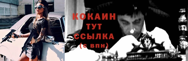 ECSTASY Алзамай