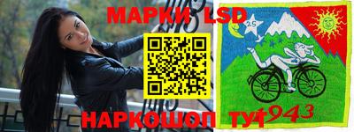 spice Заводоуковск