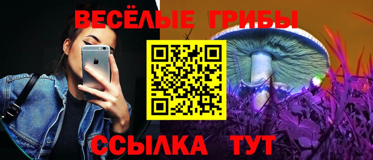 Галлюциногенные грибы мицелий Глазов